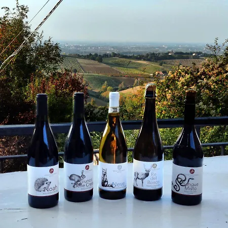 Farm stay Montebudello *